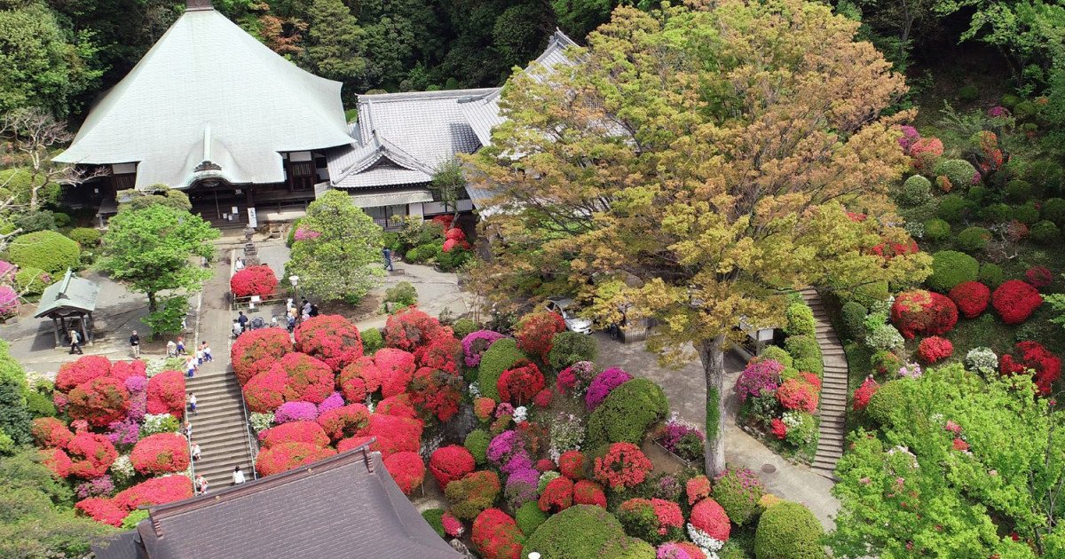 🌸 등각원 (토가쿠인) 이미지 7